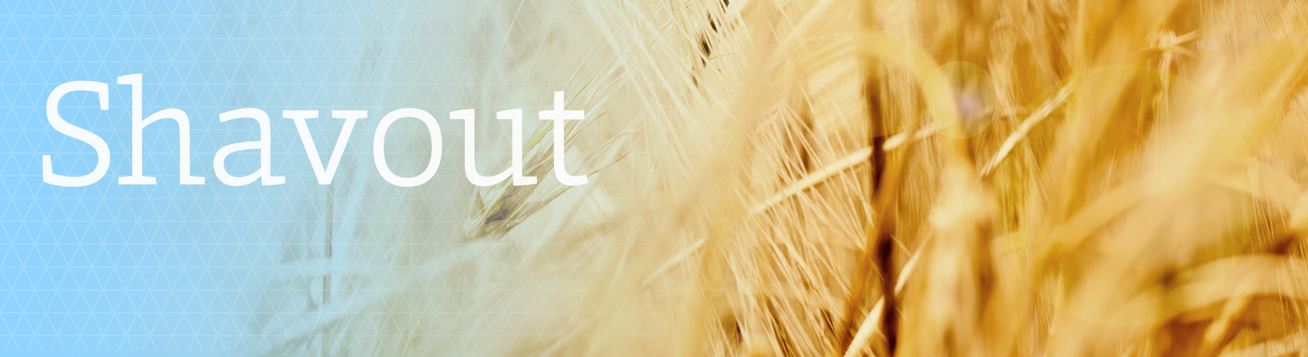 Shavout Jewish Holiday Information